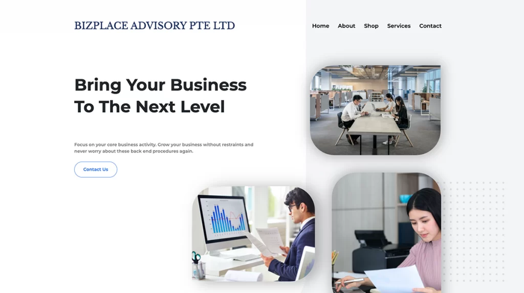 Bizplace Advisory